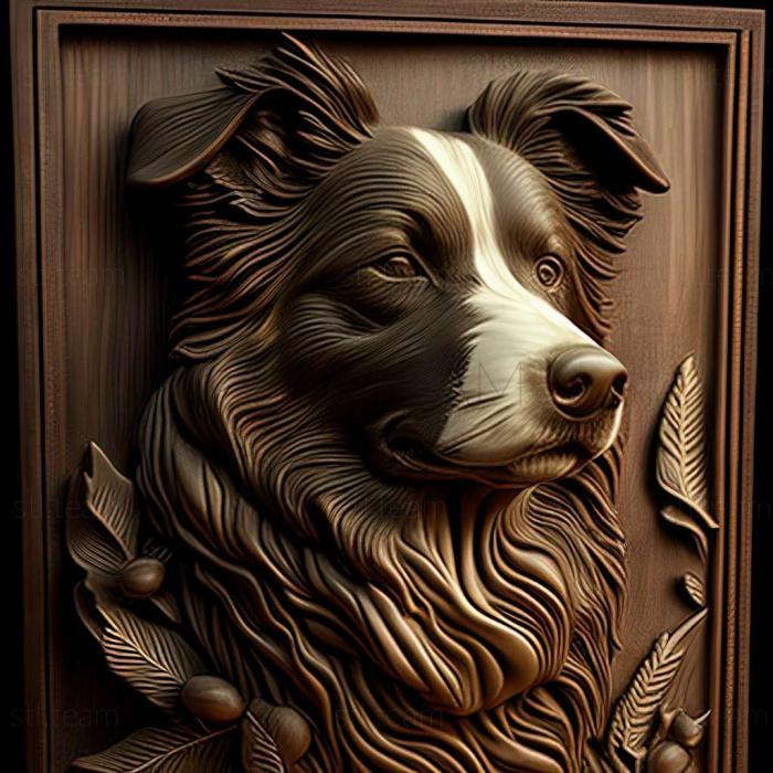 3D model Border Collie dog (STL)